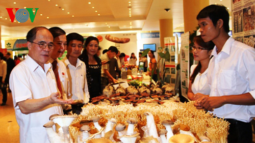 ກອງປະຊຸມຕີລາຄາການເຄື່ອນໄຫວ ວິທະຍາສາດ ເຕັກໂນໂລຊີໃນການ ພັດທະນາກະສິກຳ